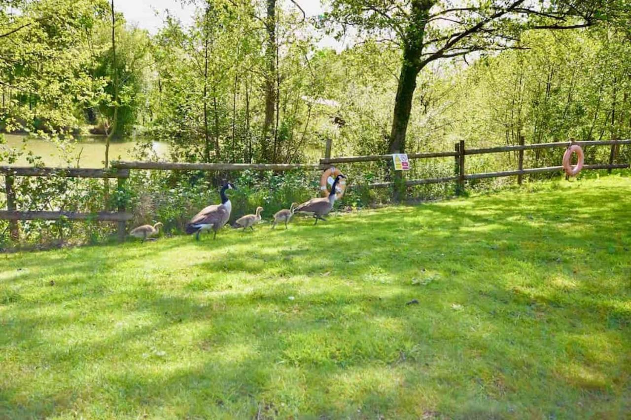 E7 Roebeck Country Park Villa Ryde  Kültér fotó